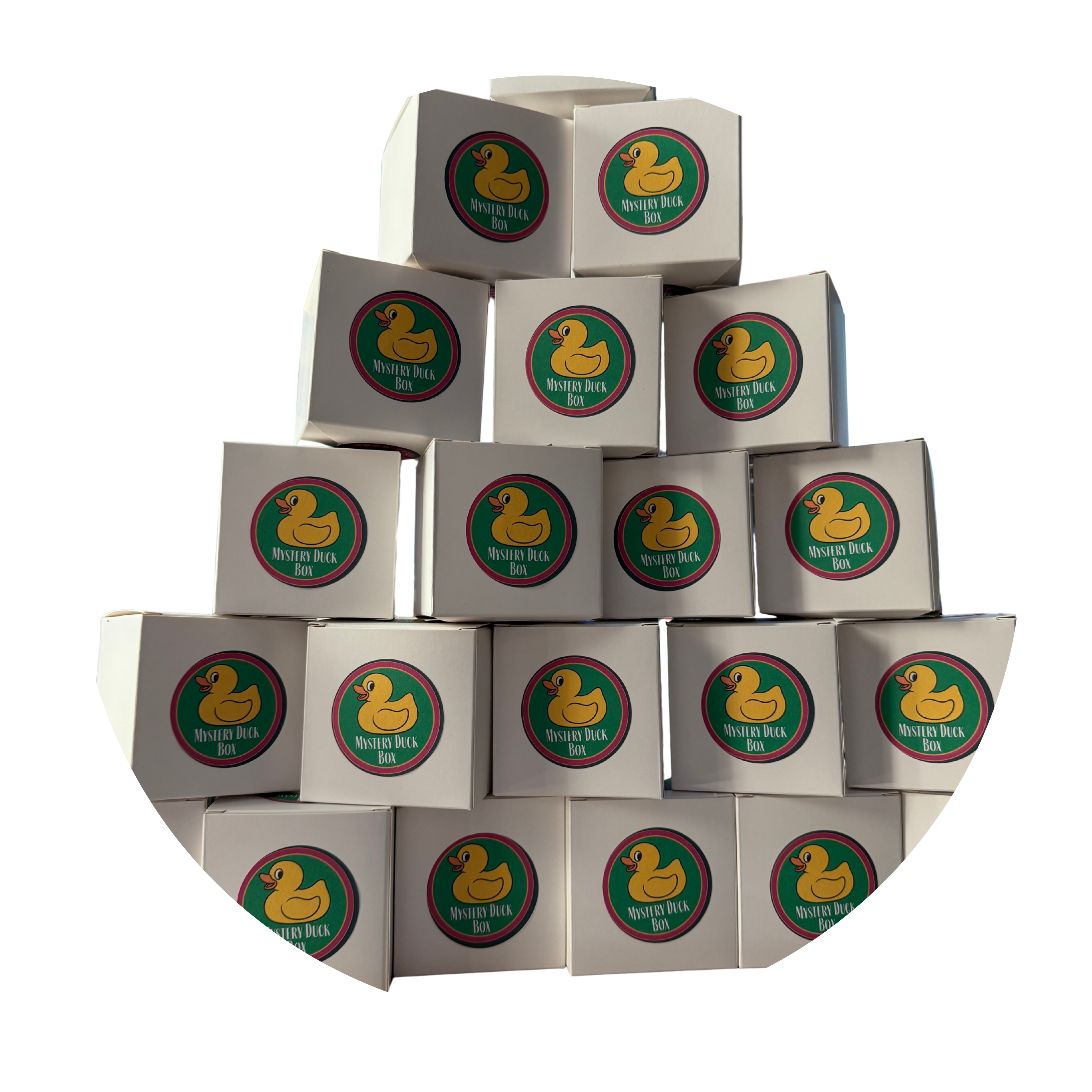 Mystery Duck Box