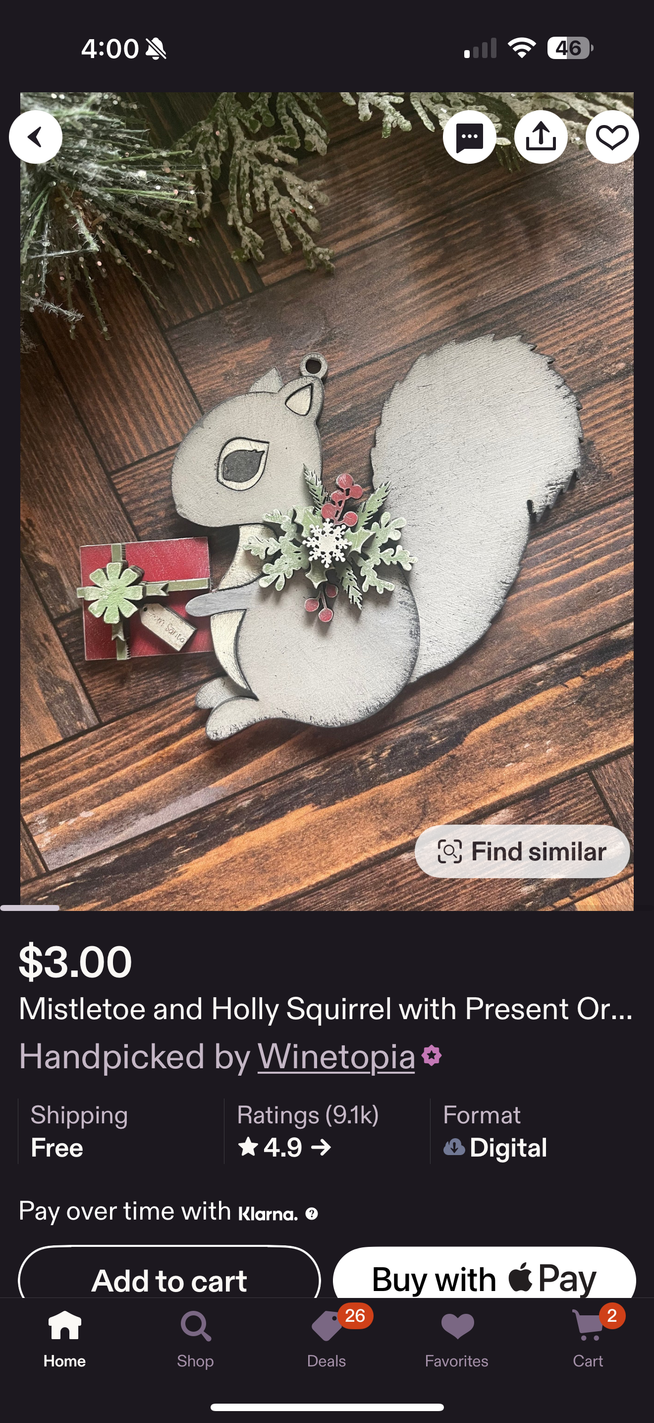 Squirrel Mistletoe and Holly